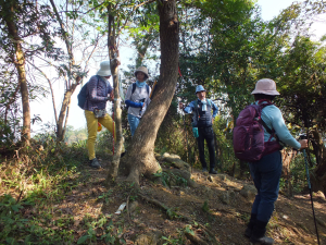 三峽區溪南尖+主公山O型