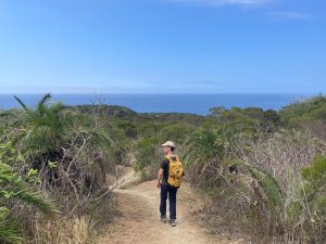 小百岳No.81⛰大山母山