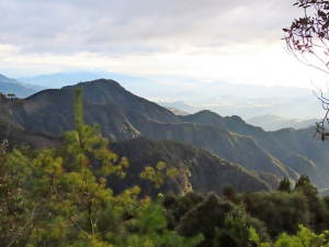谷關七雄 之  蝶夢八唐