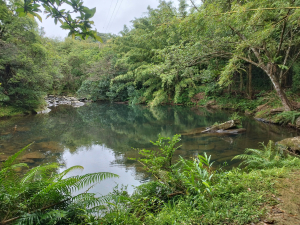 [新北雙溪][十]橫山、溪尾寮山、柑腳山、東柑腳山(後寮山)、後寮仔嶺、大平山(大坪山)