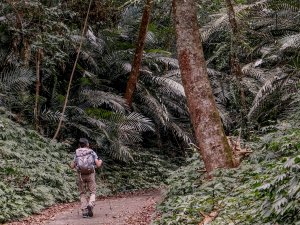 ｜谷關七雄白毛山｜地方爸爸的戶外放風時光