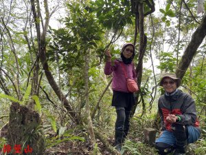 粗坑山、冷埤、掉堡山、貢仔子湖山、大湖庄山、大湖風景遊樂區縱走