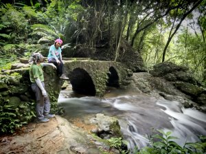 白石山-艷紅鹿子百合花