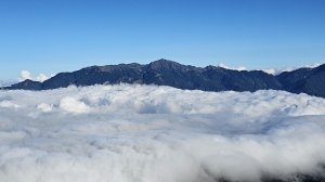 【武陵四秀桃山】一日單攻武陵四秀桃山，入門挑戰型百岳由此展開