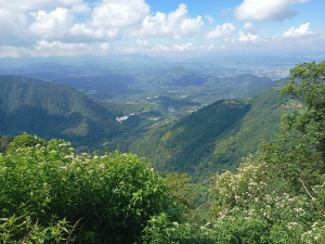 過坑山、大尖山、卓社林道O繞