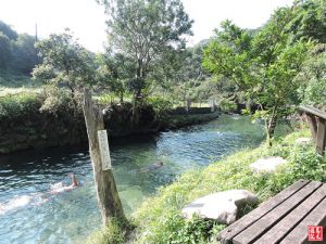 【新北市】汐止五指山古道幽情