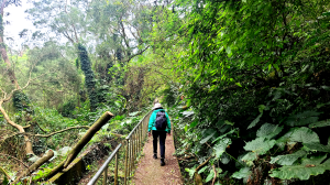 2025-0104 造鎮_五城山_天上山_三粒半_火焰山_慈惠堂_土城大潤發