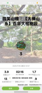 微笑山線：【大棟山系】百年大溶樹的