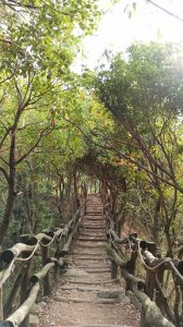 改變我的視界∥大坑4號登山步道
