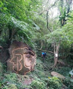 南港山攀岩步道（小百岳）2上5下