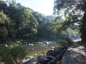 【新北市】闊瀨古道/吊橋