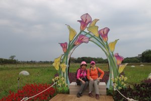 2026-04-06 桃園2026彩色海芋季