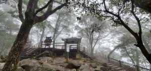 谷關七雄_波津加山 捎來吊橋登山口