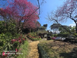 2026-02-15微笑山線：【天上山系】烘爐地土地公段