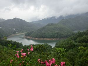 千島湖．八卦茶園．永安景觀步道