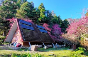 瓦拉米2日遊