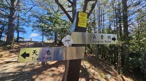 【被遺忘的南橫仙境】中之關、天池步道O繞10K