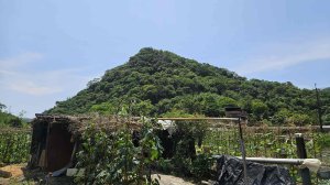 20260429牡丹驛山-尪子崙坑-尪子崙坑口-大塊厝山