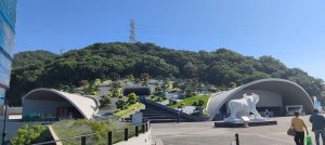 中國浙江   普陀山