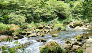 烏塗溪步道，大板根，摸乳巷古道（牧童古道），西帽子岩，炙子頭山，昇高坑瀑布