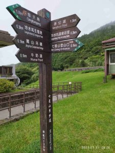 冷水坑,七星山東峰.主峰.小油坑..