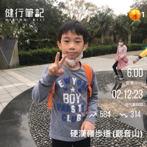 happy  island dodo Airplanes 莫里