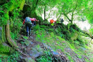 【南投】神阿縱走上對高岳