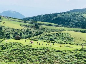 1140621冷水坑-擎天崗-石梯嶺