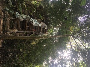 中興林場後山（鑰匙🔑認領