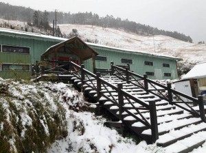 【新聞】雪山已經在1月9日清晨開始降雪囉！