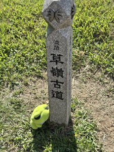 2025 芒草季 草嶺古道