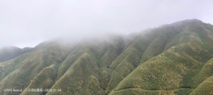聖母山莊探訪抹茶山