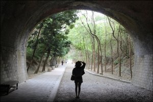 崎頂隧道文化公園(子母隧道)走入神隱少女+你的名字漫畫場裡