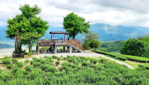 大嶺古道，大石壁坑山，大石壁坑山北峰，宜蘭玉蘭茶園登山步道