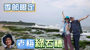 季節限定的美景老梅綠石槽，現在正是欣賞的最佳時機，猶如一隻隻綠色海豚成排躺在沙灘上，堆疊出大片美麗藻礁。順遊台灣極北之地富貴角燈塔，富基漁港大啖海鮮美食。