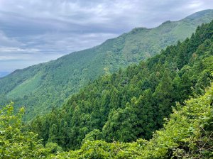 20240525 油羅山