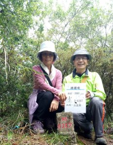 深藏在台14甲公路的櫻櫻峰，中級山的高度，卻是郊山的走法！