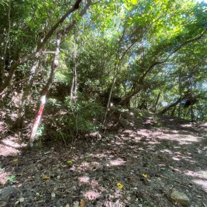 20251014_加奈美山（台東小百岳）