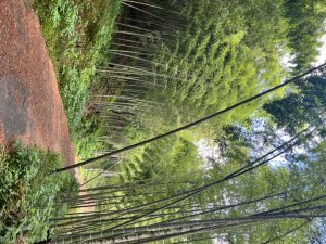 雲林小百岳-石壁山