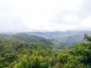 【悠遊深石平】深坑，走讀猴山岳步道―百年林家草厝土角厝