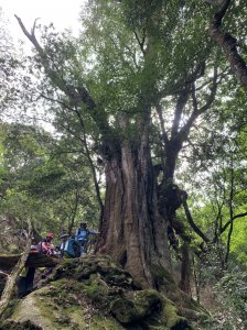 加里山