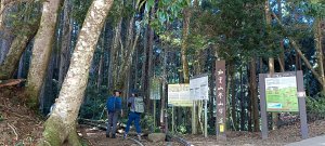 加里山+杜鵑嶺 O型-2023/05/06