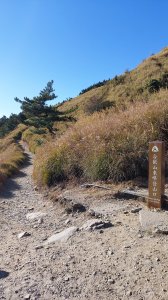 高山症加上失眠的合歡東峰