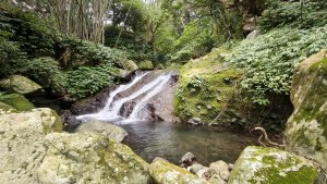 新北萬里，瑞泉溪畔古道環走+林市古道前段