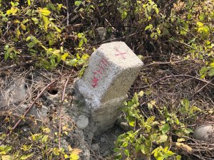 彰化縣伸港鄉、彰化縣鹿港鎮、彰化縣大村鄉、彰化縣福興鄉三等三角點平地基石