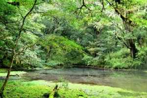 神魔塚縱走(多加神山、魔葉名病山、塚呂馬布山縱走)