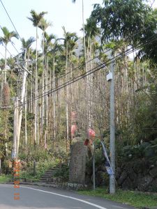 雲嘉大尖山