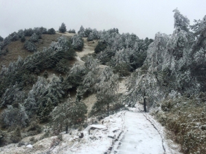 【新聞】影／玉山雪線驟降400米 塔塔加地區終於下雪了！