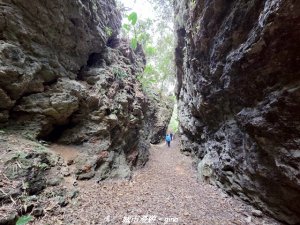 【高雄田寮】小百岳大崗山x大崗山磐龍峽谷步道