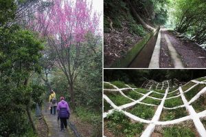 【台北北投】暫避煙城台北．貴子坑環山步道